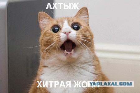 Поддержка- это не проституция