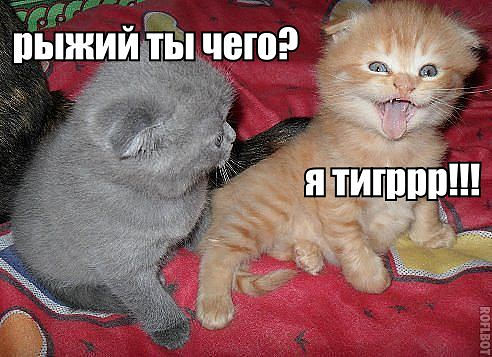 Прикольные пикчи