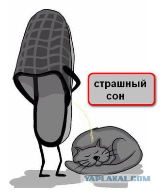 "Когда я кашляю, мой кот крякает"