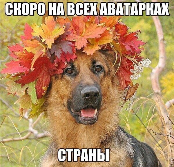Картинки из инета