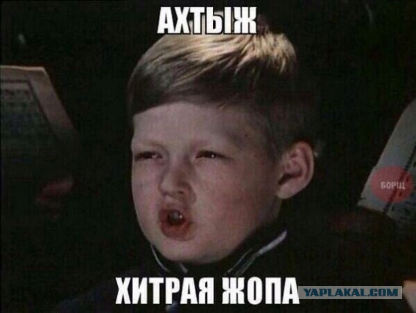 Милая птичка просит покушать!