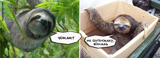 Марш Миллионов. 6 мая 2012 года