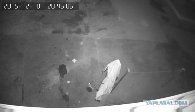 За что я люблю китайцев