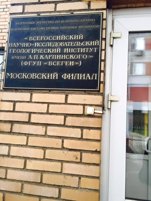 Подборка картинок из сети