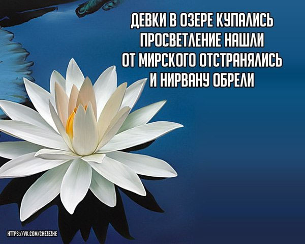 Абсурдный юмор ч.12