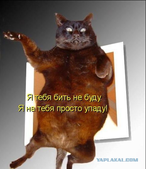 Стиль богомола против стиля бегемота