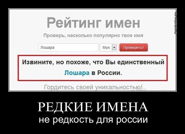 Интересные и веселые картинки