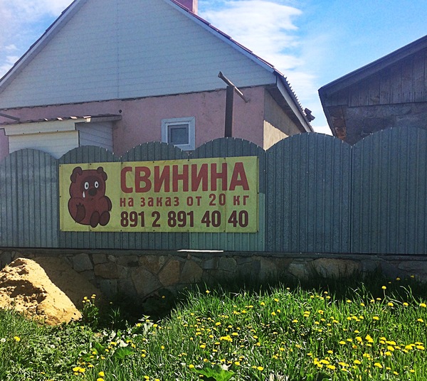 Подборка интересных и веселых картинок