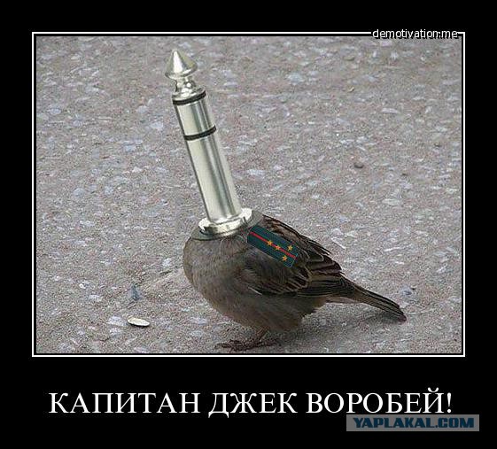 «Беги». Объявлена дата выхода нового фильма про Чужого