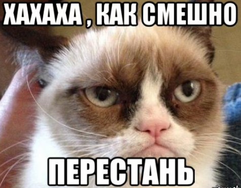 Сама виновата