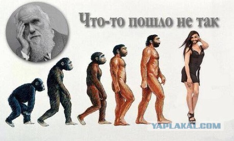 Борода на Руси. Зачем мужчине борода?