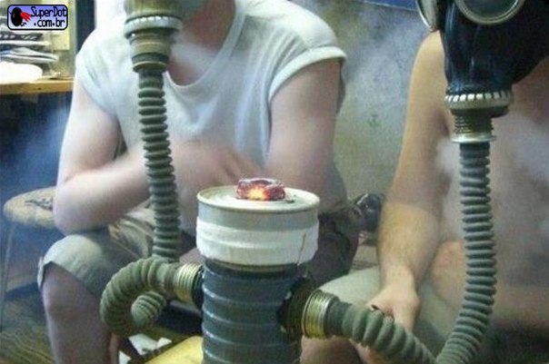 Подборка безудержного веселья