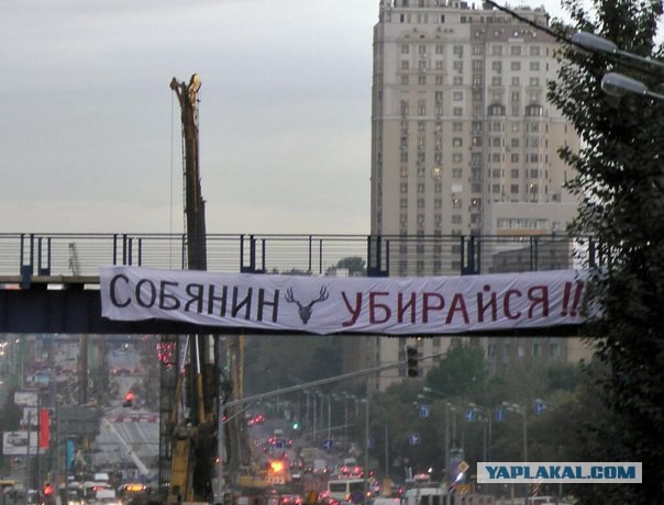 Опрос: Собянина на новый срок?