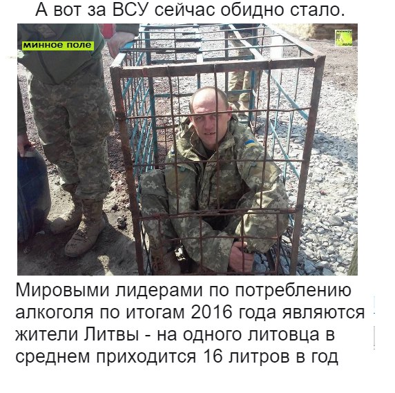 То ли плакать, то ли смеяться !?