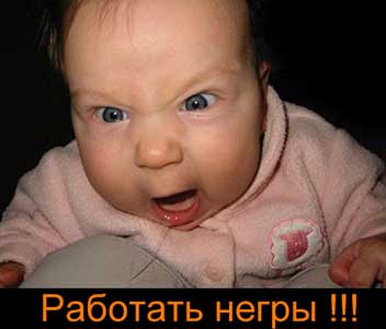 Самые известные мемы в истории Интернета