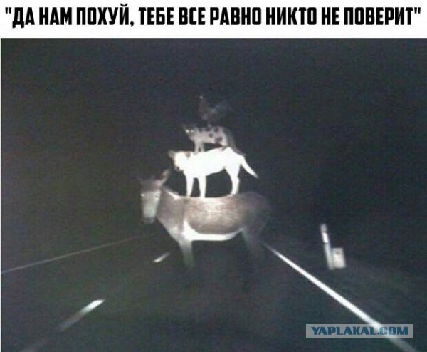Машинист столкнулся ночью с необъяснимым явлением, которое спасло ему жизнь