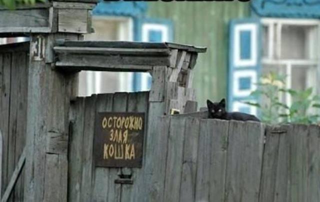 Подборка интересных и веселых картинок