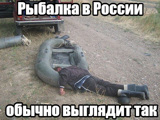 Лента прикольных картинок