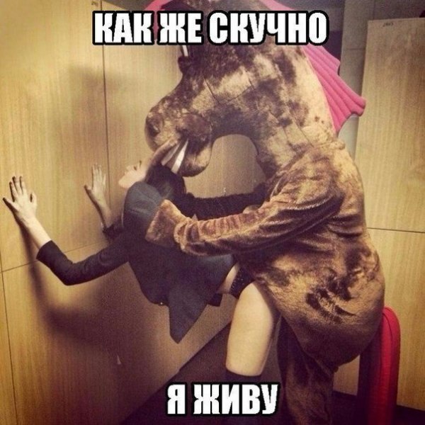 Бросай политоту, картинок завезли!