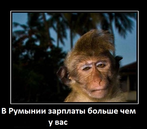 Спящие заговорили?! Экс-сотрудник СБУ в прямом эфире рассказывает о преступлениях украинских властей
