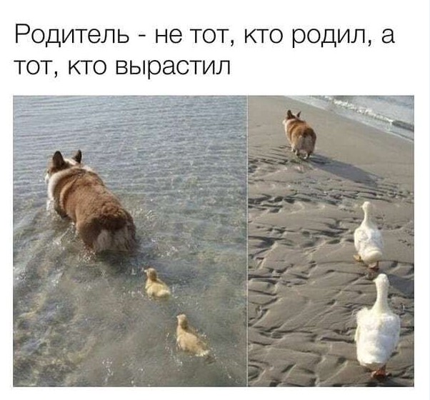 Бредзона 06.11.2020
