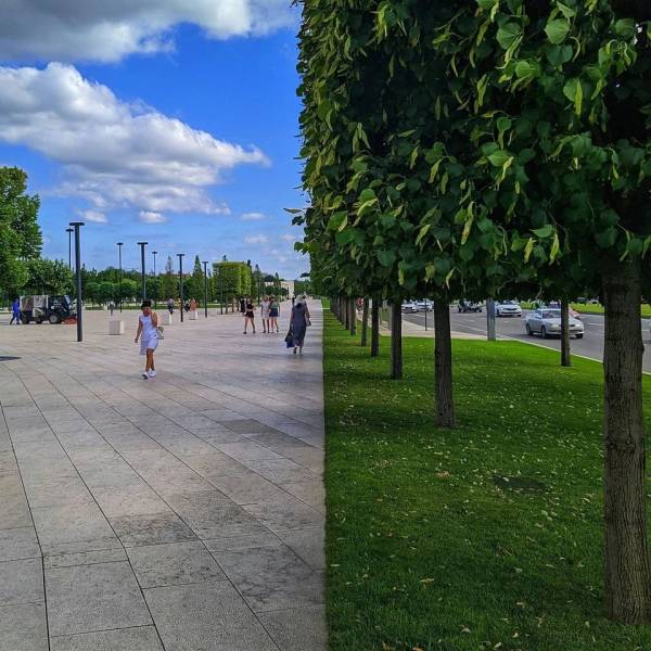Картиночек и гифок на вечер...