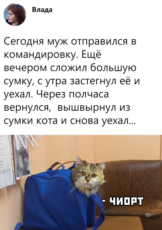 Картинки и мемы для настроения