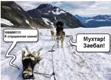 Подеградируем, побаяним... ч.2