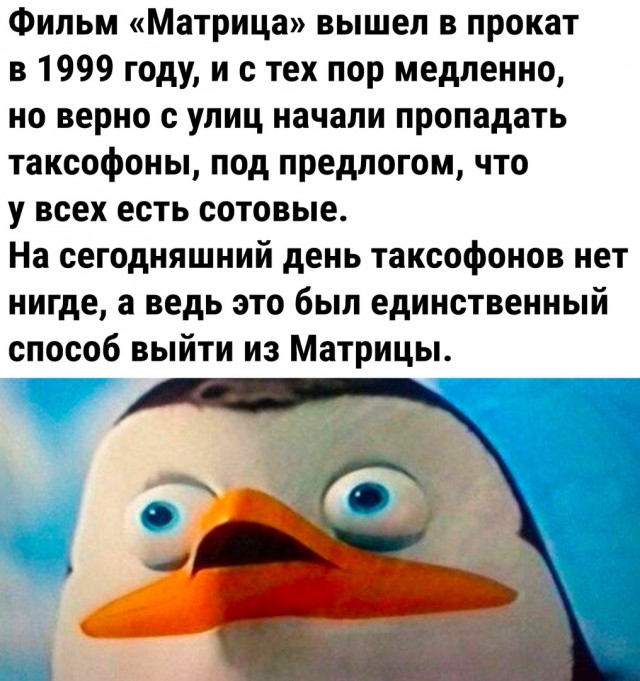 Так себе картинки 04.04.22