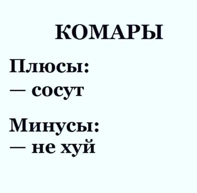Картинки с надписями (баяны)