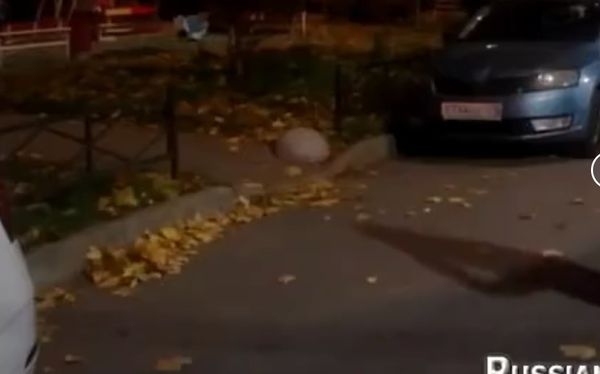 Подстава не получилась..