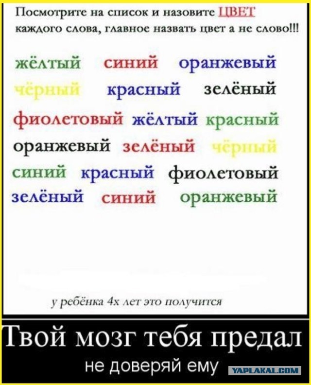 ТРРРидцать тРРРи от 3 июня