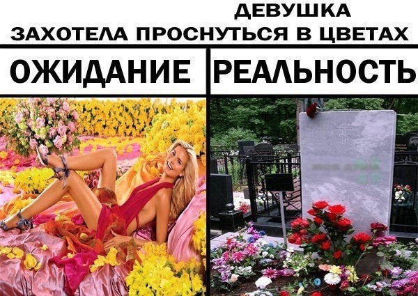 По распорядку. Дичь