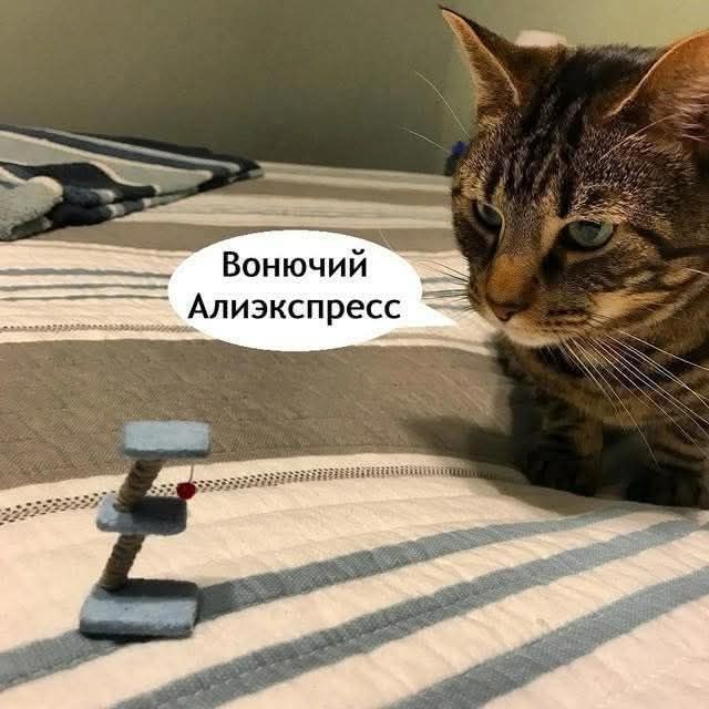 Быстрая деградация