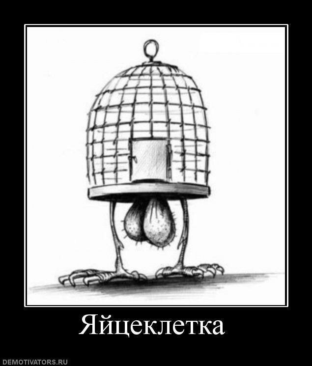 Картинки для деградации 69 (разной степени свежести)