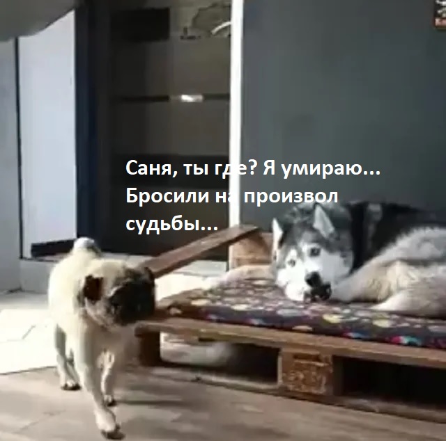 Вот и всё друзья, прощайте...