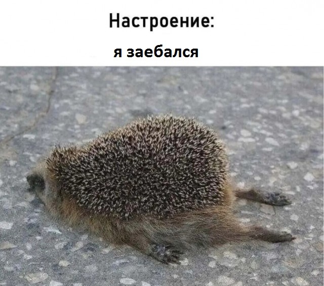 Четверговые картинки