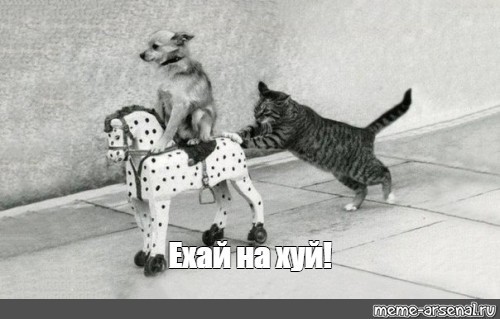 До свидания, наш ласковый Мишка!