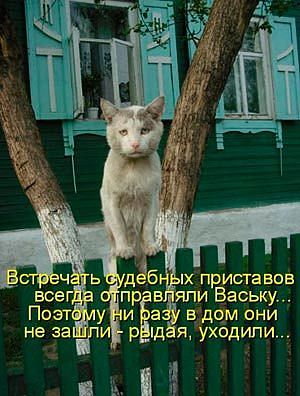 Кот Васька