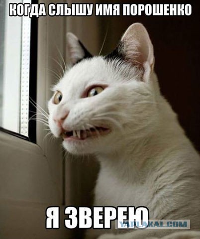 Смешные картинки, добавляйте свои!