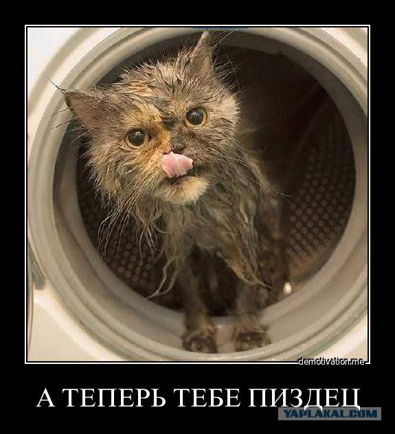 Моя подборка веселенькой мути