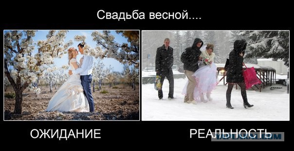 Лучшие свадебные фотографии