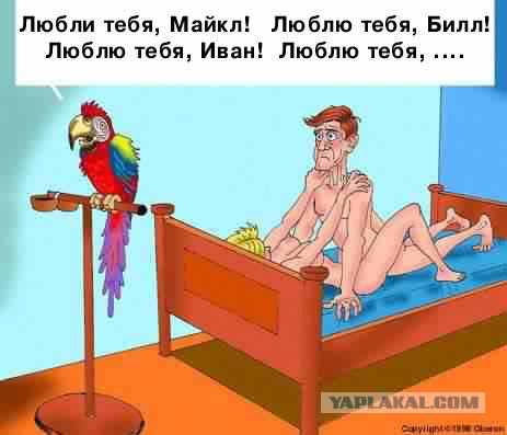 Юмор ниже пояса
