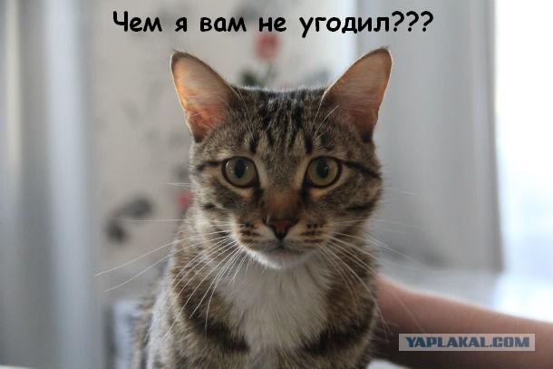 Это кем же надо быть ....