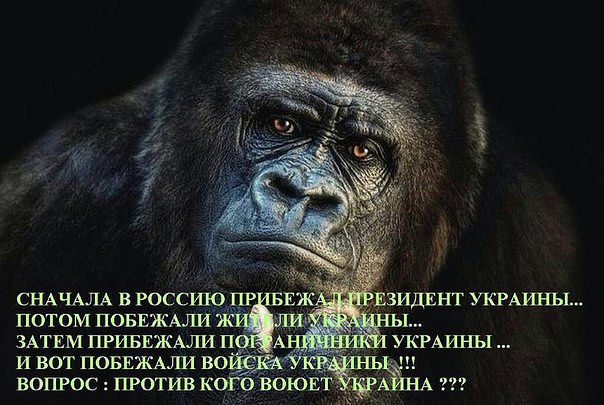 Веселости