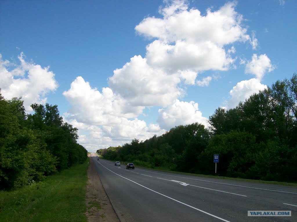 Трасса тула курск. Автодороги тула белев. Тула белеев автодорога. Дорога тула орел. Трасса тула курск.