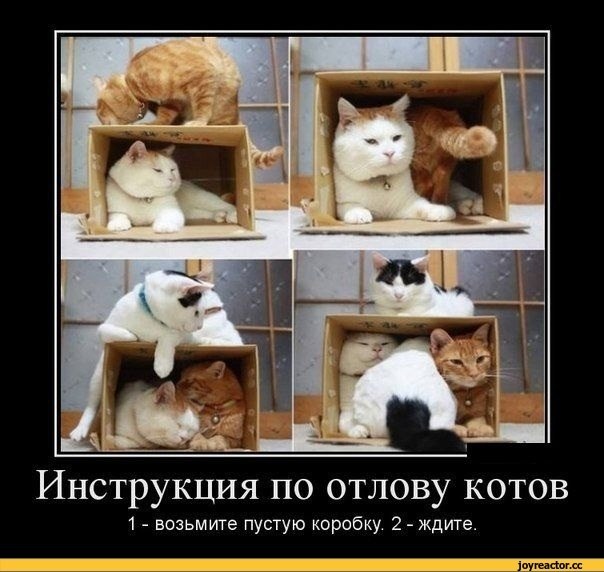 Коротко о выходных