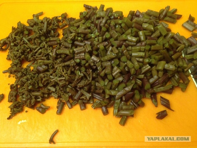 Рулет с папоротником и грибами