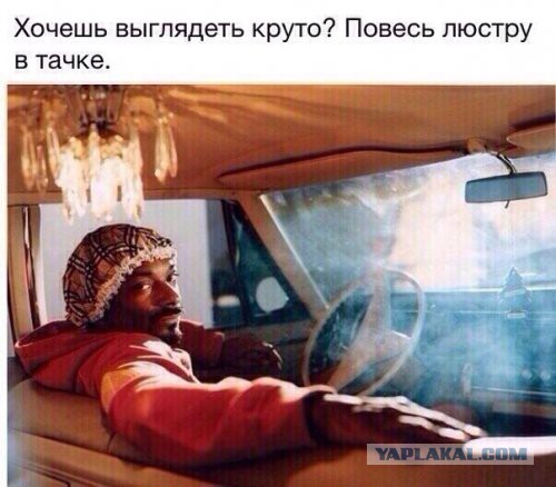 Приколы из сети