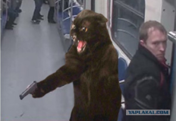 Опасный котэ